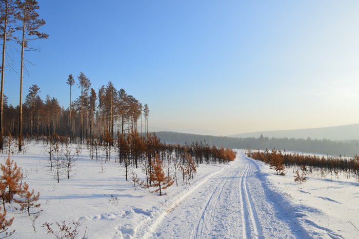 Кто виноват в разливе газового конденсата на дороге в Якутии, выяснит Минэкологии Республики