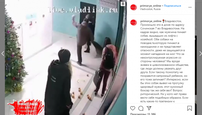 Социальные сети Владивостока взорвало видео с избиением владелицы агрессивных собак