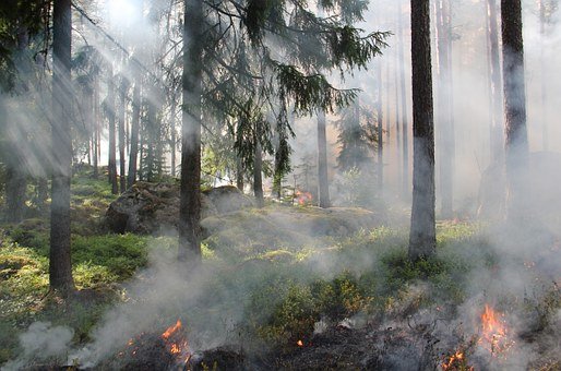 В Приамурье пожары вчера охватили около двух гектар леса