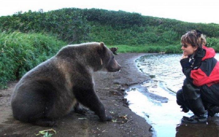 В окрестностях Магадана бродят медведи
