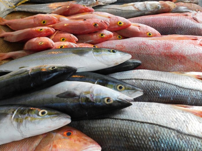 Сахалинские рыбопромышленники подсчитали ущерб от эпидемии COVID-19