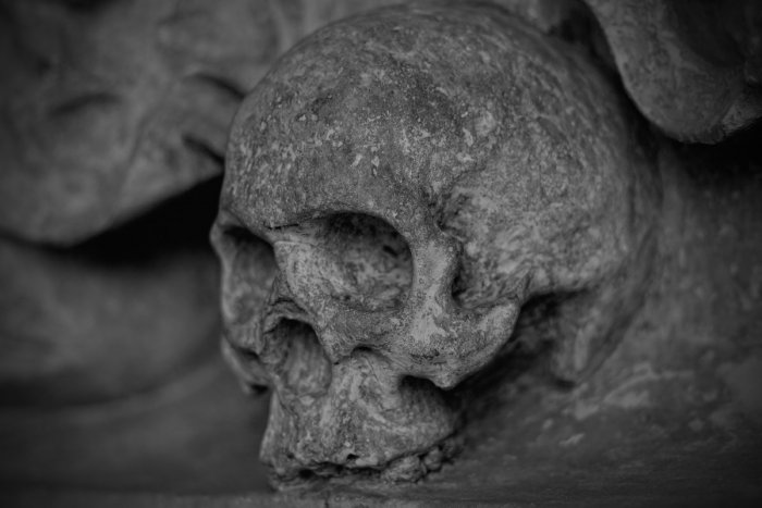 Ученые считают, что древние скелеты в Бурятии могут относиться к китайской культуре