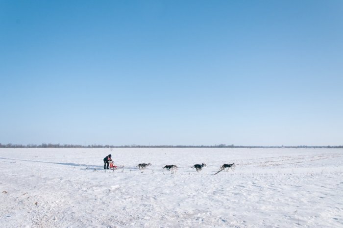 Арктика в беде: почему арктические поселки России оказались на грани голода?