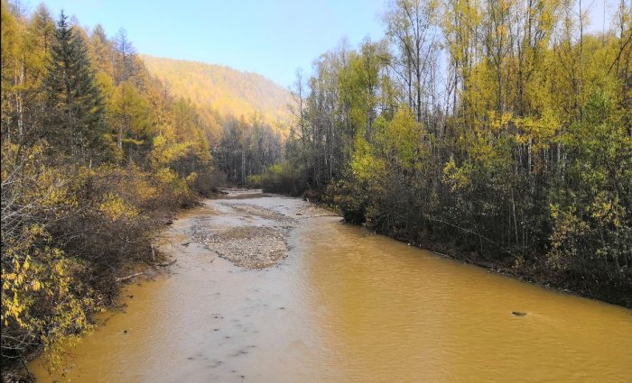 Золотодобытчики заплатят многомиллионный штраф за загрязнение реки в Приамурье