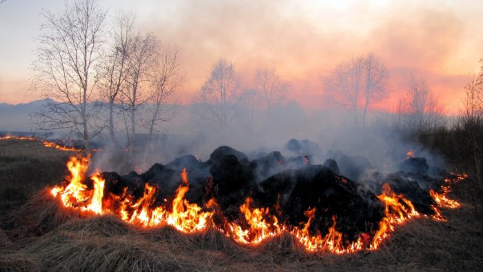 В этом году в ЕАО зафиксирован первый лесной пожар