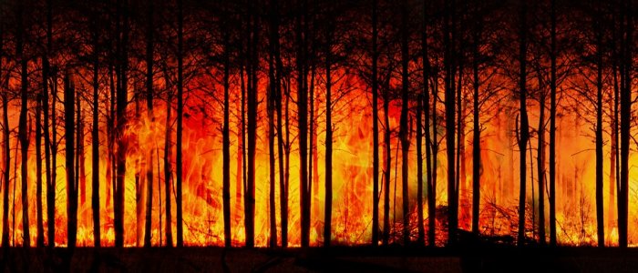 В Приамурье люди в городах и селах жалуются на запах дыма от лесных пожаров