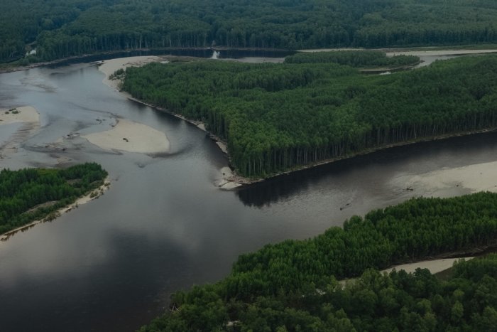 Экологи предлагают лишать лицензий на добычу золота за загрязнение рек в Амурской области