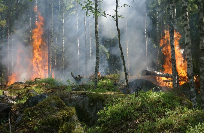 Дым и предчувствие пожара в Забайкалье