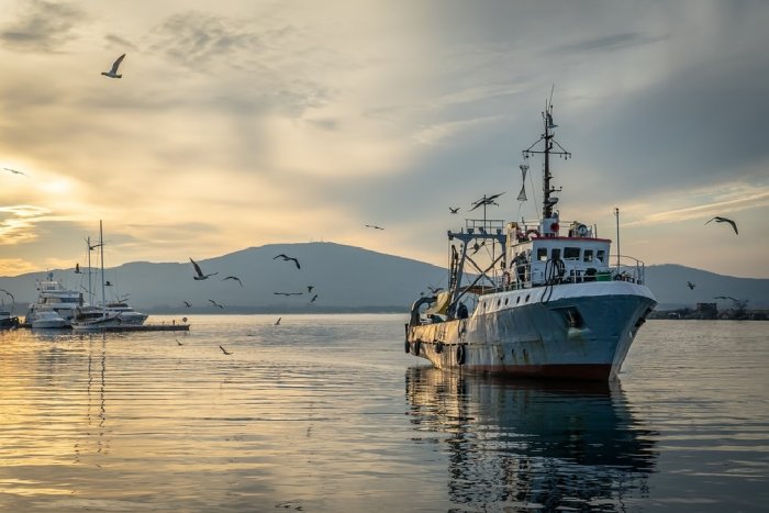 Жители Курил сомневаются по поводу налоговых льгот для рыбаков