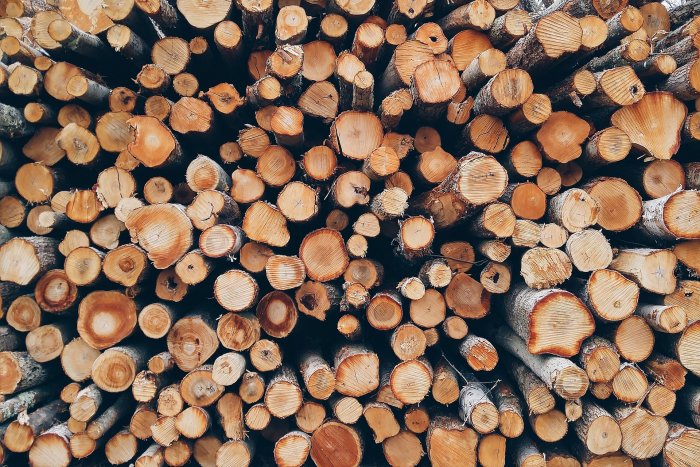Забайкальцы в год заготавливают дрова на 500 млн рублей