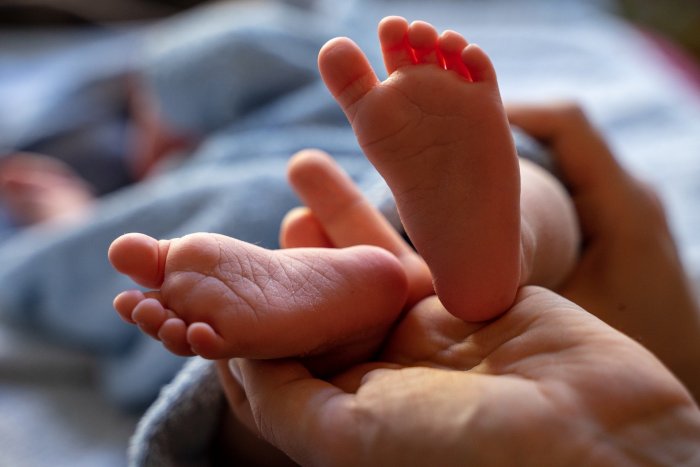 Повышение рождаемости поможет снизить отток населения с Дальнего Востока?