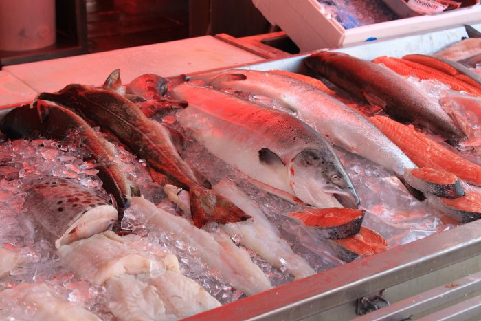 Чего не хватает рыбной отрасли на Дальнем Востоке?