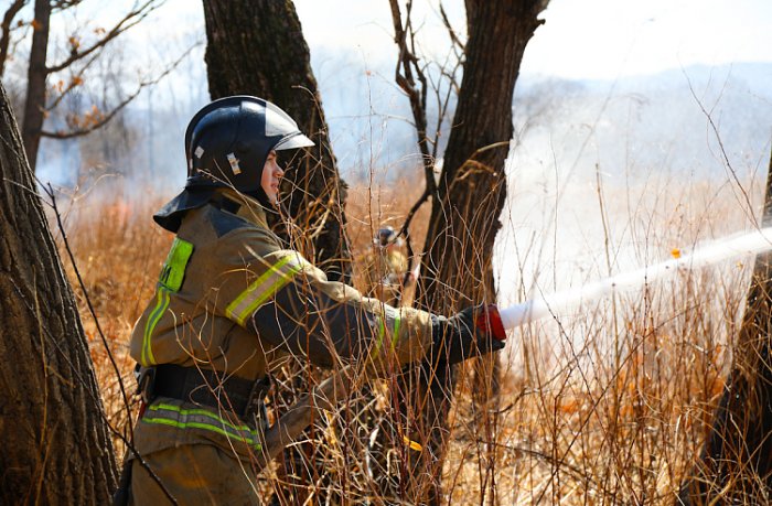 Лесные пожары в Приморье: как в регионе борются с возгораниями