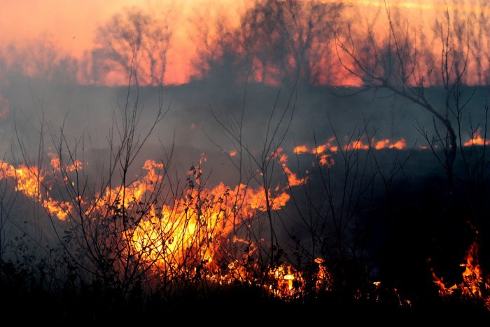 В Амурской области горело более 154 тысяч гектаров лесов и полей