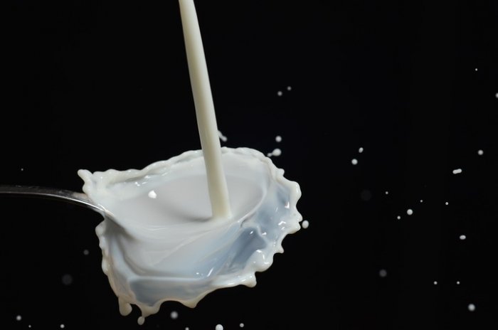 Бурёнкино горе: молоко в Амурской области ушло в землю