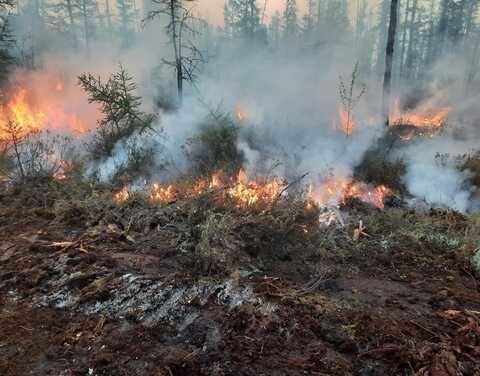 В Якутии ухудшается ситуация с лесными пожарами