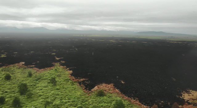 На Камчатке потушили крупный лесной пожар