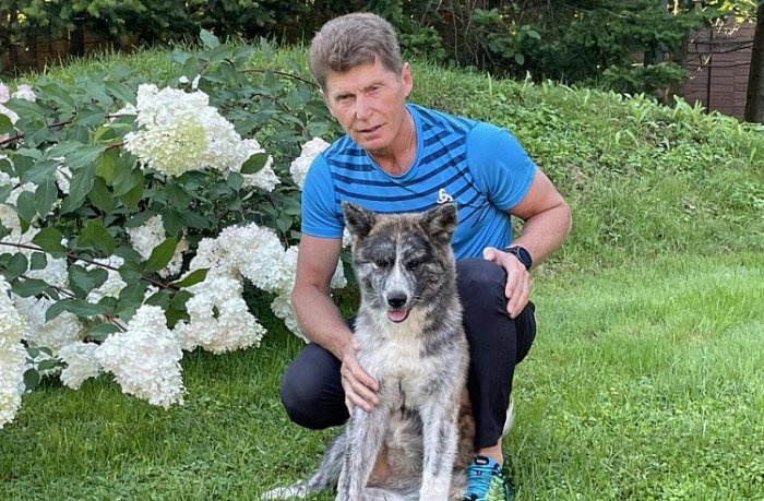 Олег Кожемяко подарит приморской семье щенка акита-ину