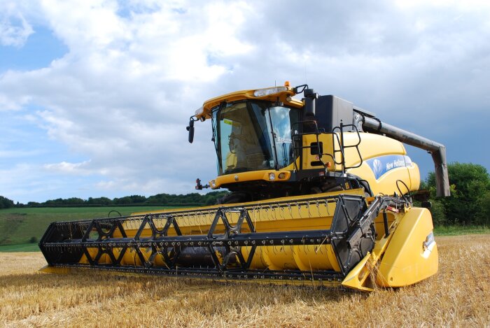 Урожайность зерновых в Забайкалье выросла в 1,5 раза с прошлого года