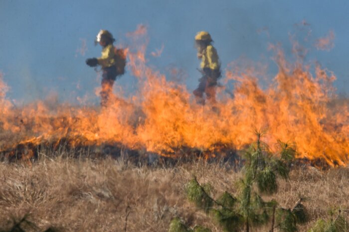 В районе Приамурья ввели особый режим из-за природных пожаров
