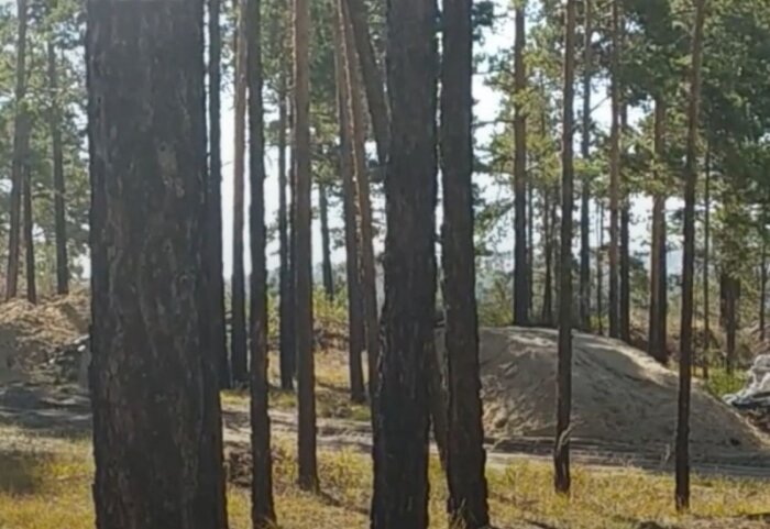 Общественники выясняют причины появления незаконной свалки в бурятском лесу