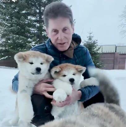 Губернатор Приморья подарит семьям с детьми щенков своей собаки