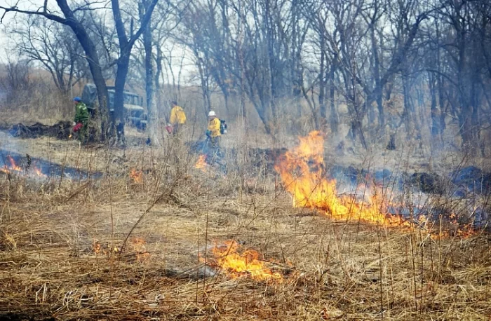 В Приморье за три дня потушили 22 пожара