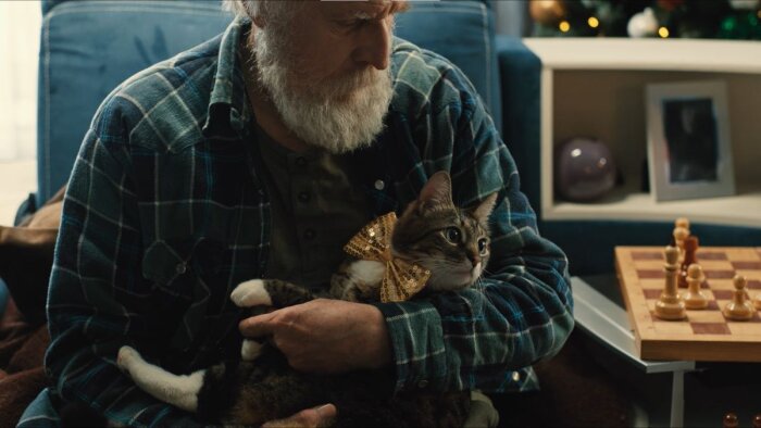Беспородный кот из Магадана снялся в художественном фильме «Нормальная такая жизнь»