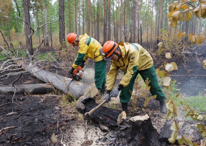 Ученые «бауманки» и Якутии апробировали эффективный метод тушения пожаров при -50