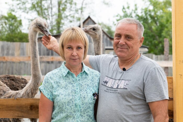 Посёлок Ванино становится обиталищем страусов