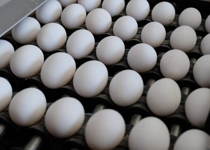 Еда в Якутске: яйца ведут себя смирно – изобилие на рынках радует