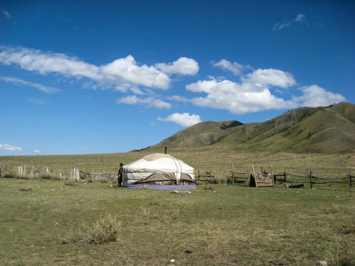 «Железный дзуд» в Монголии: погибли миллионы голов скота – Бурятия спешит на помощь