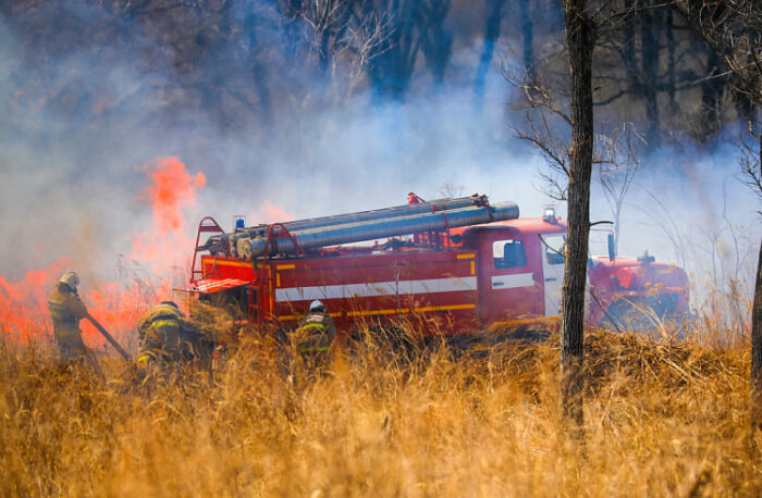 Уже горим: Дальний Восток встречает сезон лесных пожаров